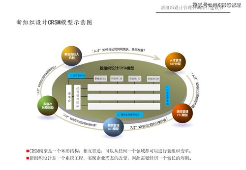 新組織設(shè)計(jì)管理咨詢項(xiàng)目 一體化策劃與公關(guān)服務(wù)建議書